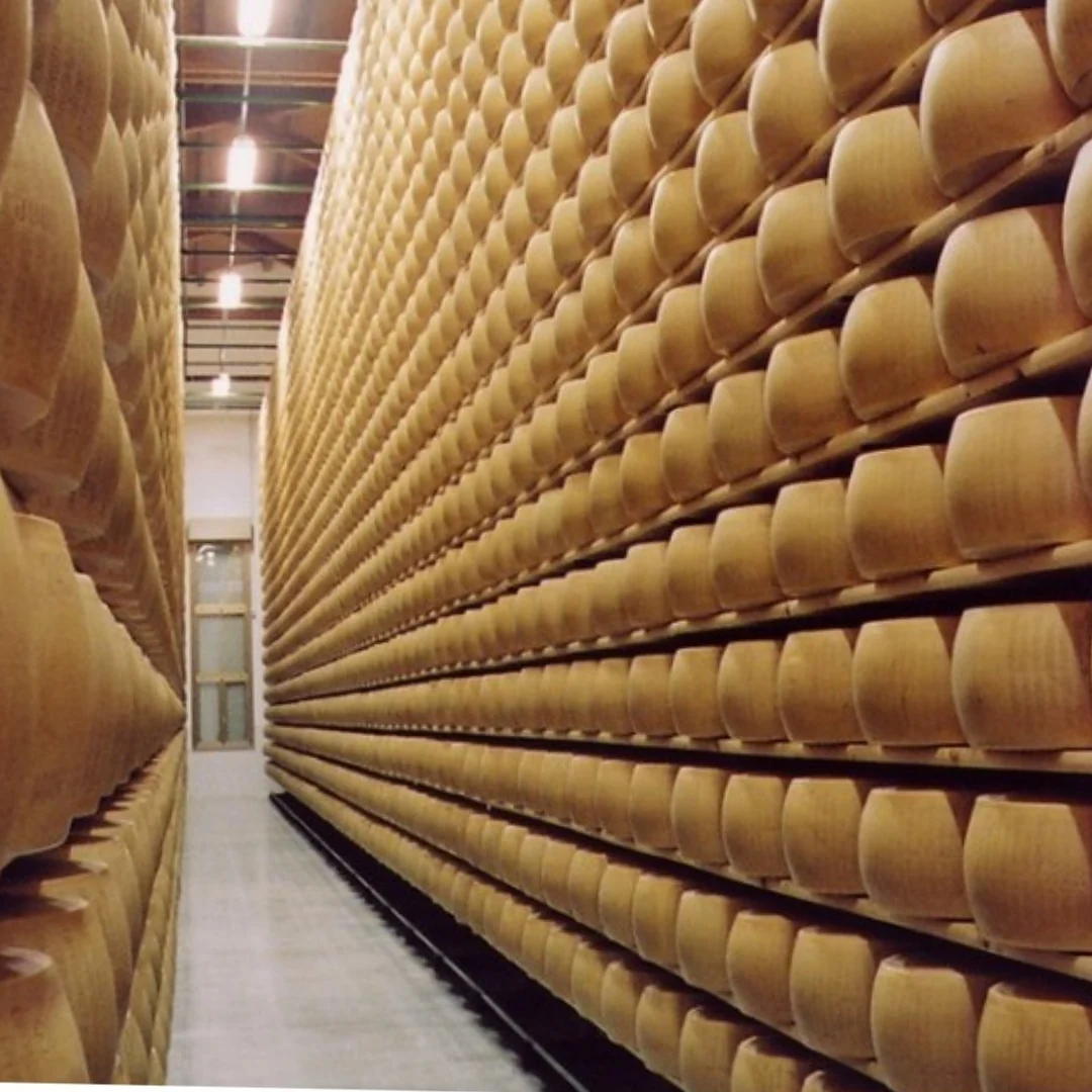 Parmigiano Reggiano 24 Meses desde 450 a 550g - Image 4